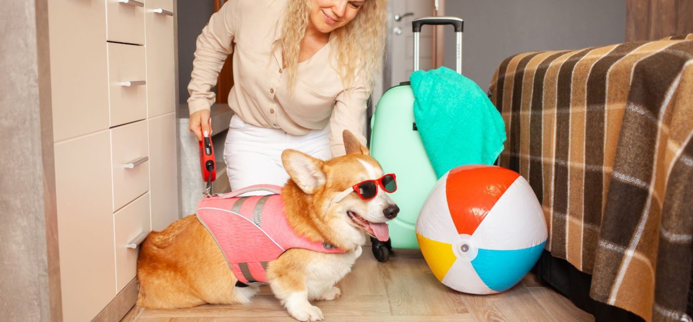 How Dog Hotels Promote Happiness: Joyful Stays for Furry Friends