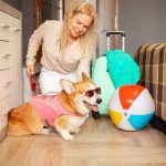 How Dog Hotels Promote Happiness: Joyful Stays for Furry Friends